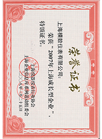 上海成长型企业荣誉证书